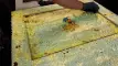 Paint & Varnish off Bungalow Door